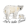 Polar bear, climate, environmental protection