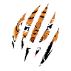 tiger face