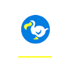 Dodo Airlines
