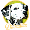 dalmatien