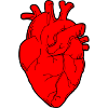 Cœur