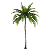 Chemise Palm