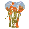 Éléphant, coquelicots