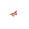butterfly effect design no background