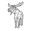 Moose polygon