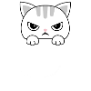 Cat Cats