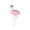 Flamingo gear