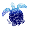 Turtle wildlife