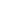 Pour aspera ad astra