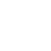poodle