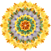 Mandala Van Gogh