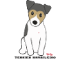 Brazilian Terrier