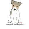 Terrier Brasileiro Isabell