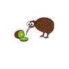 Oiseau kiwi Nouvelle-Zélande drôle