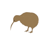 Oiseau kiwi Nouvelle-Zélande drôle