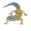 Gecko