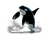 Orca