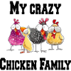 My crazy family - chickens
