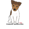 Brazilian Terrier