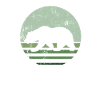 Retro brown bear