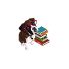 Boxer Dog Gift
