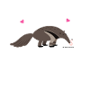 Anteater