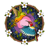 Ayahuasca Hummingbirds