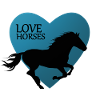 Cheval Cheval Équitation Poney Western