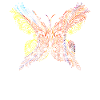 Butterfly Animals