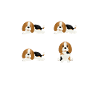 Beagle Wachhund