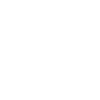 Rose, white contour