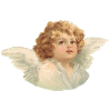 cherub 1