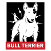 BULL TERRIER