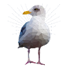 Seagull motif