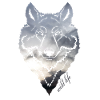 Wolf face wildlife