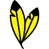 couleur des plumes