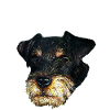 Portrait Deutscher Jagdterrier