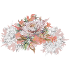 chrysanthemum
