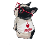 Boston Terrier