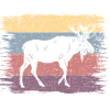 Orignal