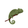 Echsperte Eidechse Reptil Geschenk