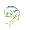 Mahi Mahi fish
