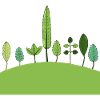 Crazy Plants