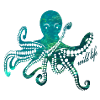 Octopus wildlife