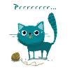 Playful Kitten