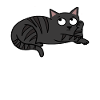 Bored Cat Funny