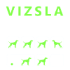 Hartnäckige Vizsla-Tricks