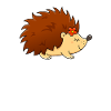 Sweet Hedgehog Lady