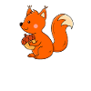 Eichhörnchen Kinder