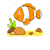 Fish clown fish
